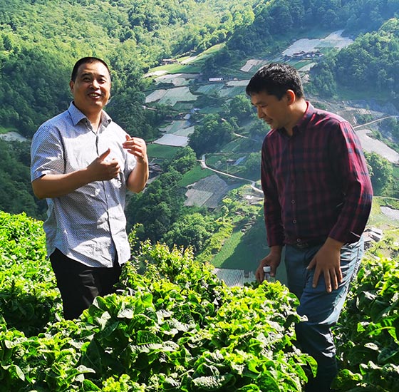 爱隆水溶肥