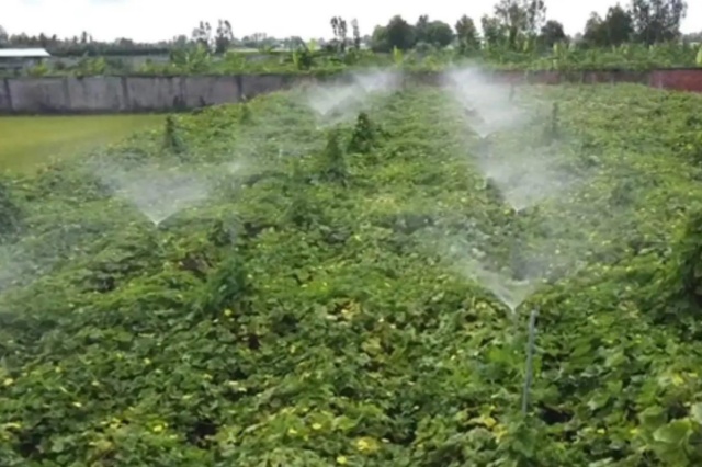 水溶肥施肥原则