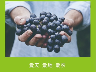 植物营养失调的外观诊断方法