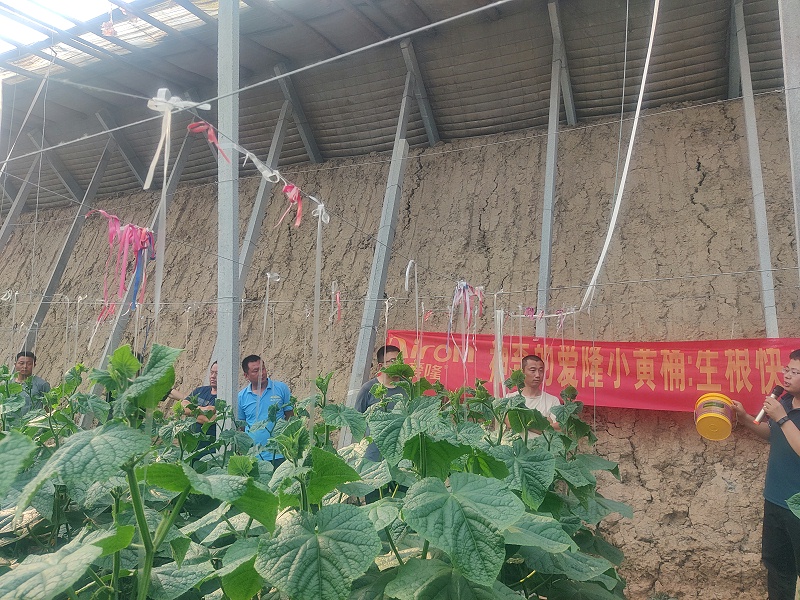 神奇的小黄桶