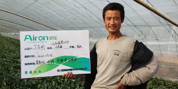 爱隆水溶肥丨山东莱西甜瓜示范