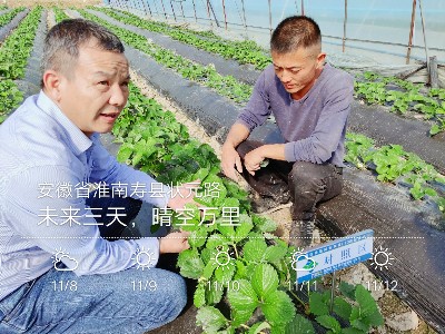 爱隆水溶肥