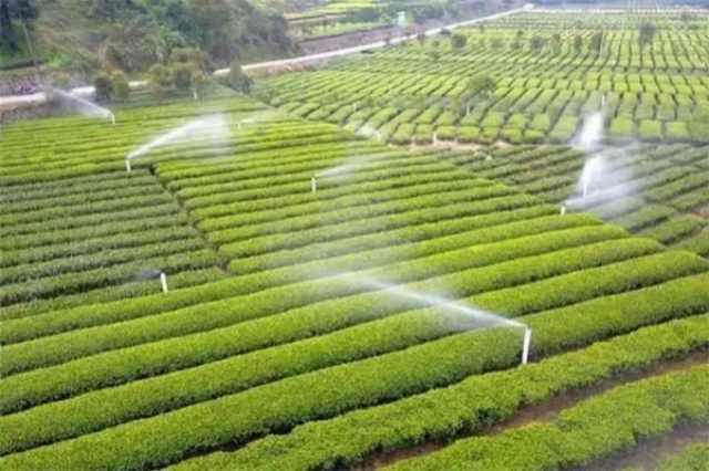 中微量元素水肥一体化