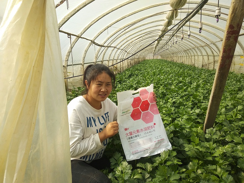 大量元素水溶肥