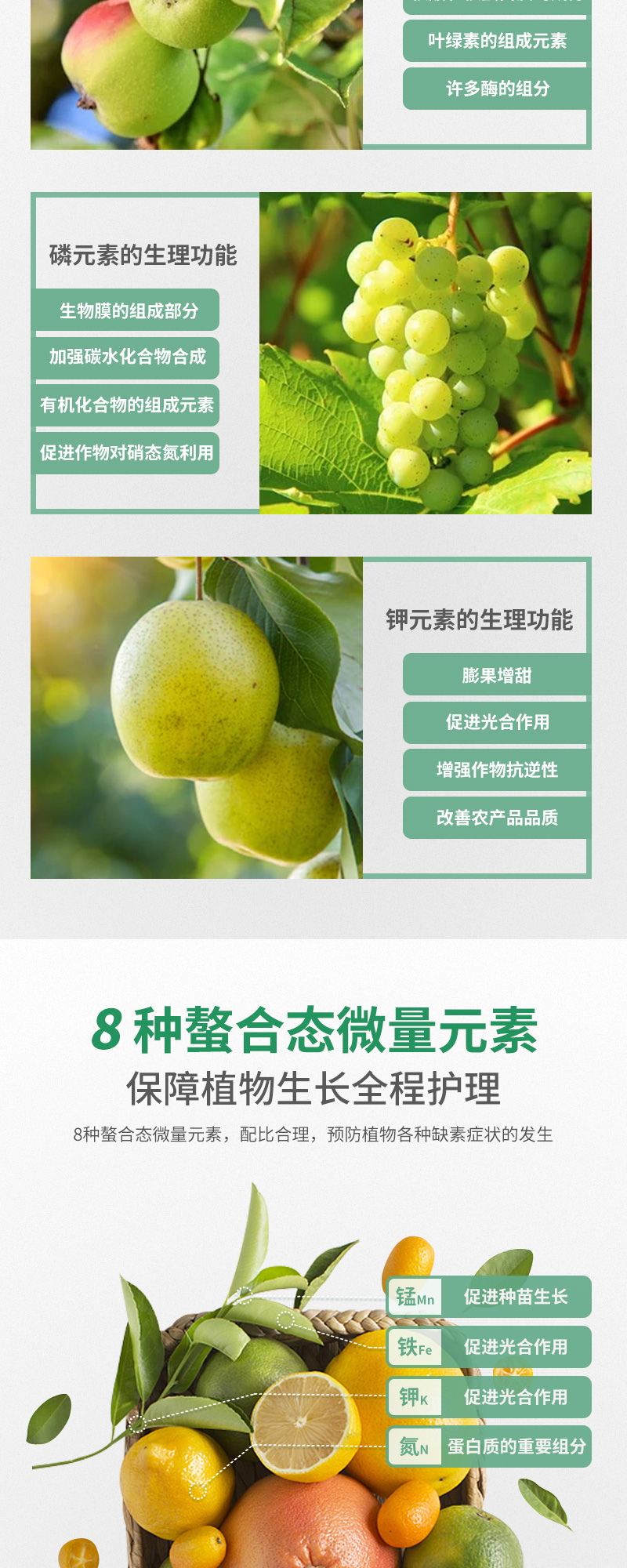 微养平衡型03