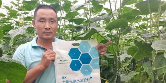 罗大哥和他的使用爱隆大量元素水溶肥的黄瓜田