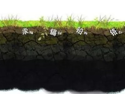 生物有机肥对土壤的改良作用