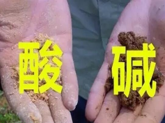 土壤酸碱度对作物生长的影响