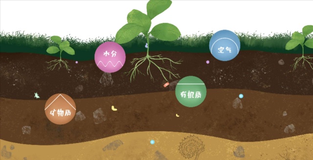 土壤酸碱度改良