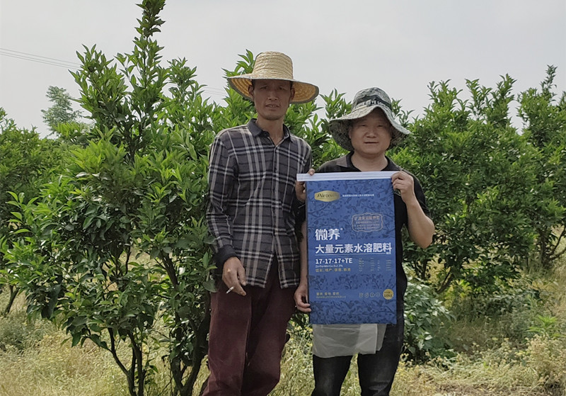 微量元素水溶肥