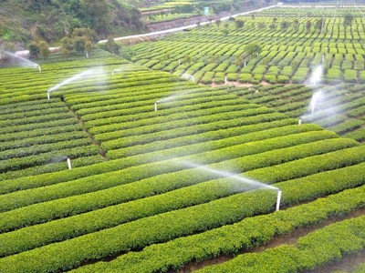 水肥一体化的好处