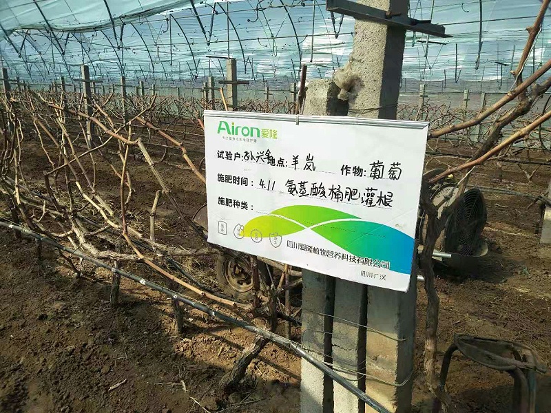葡萄用什么水溶肥