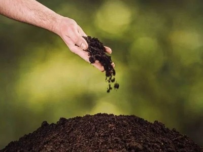 微生物在植物抗病抗虫方面的应用