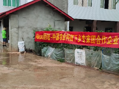 四川爱隆