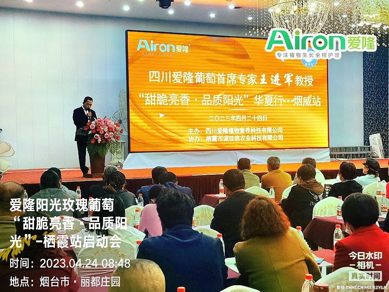 阳光玫瑰水溶肥