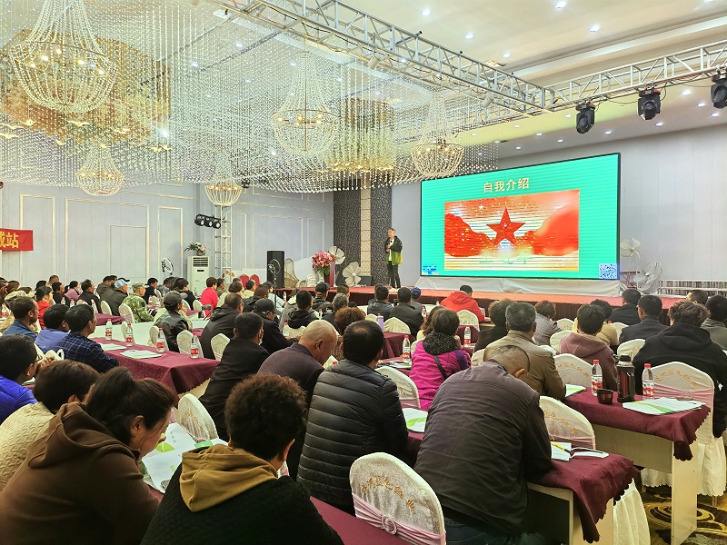 阳光玫瑰水溶肥