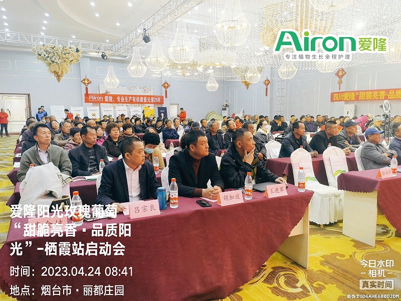 阳光玫瑰水溶肥