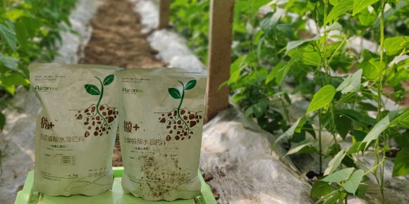 腐植酸水溶肥