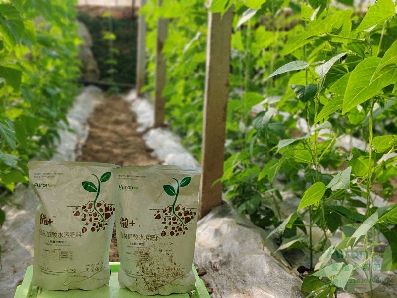腐植酸水溶肥