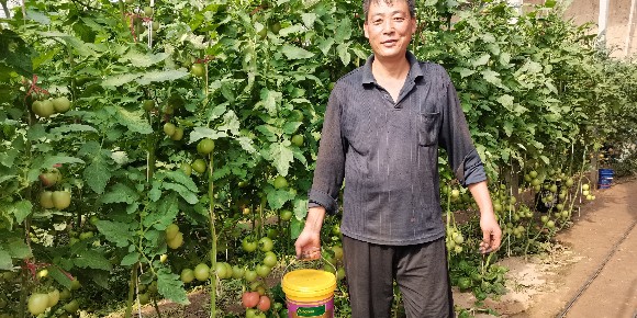 氨基酸水溶肥