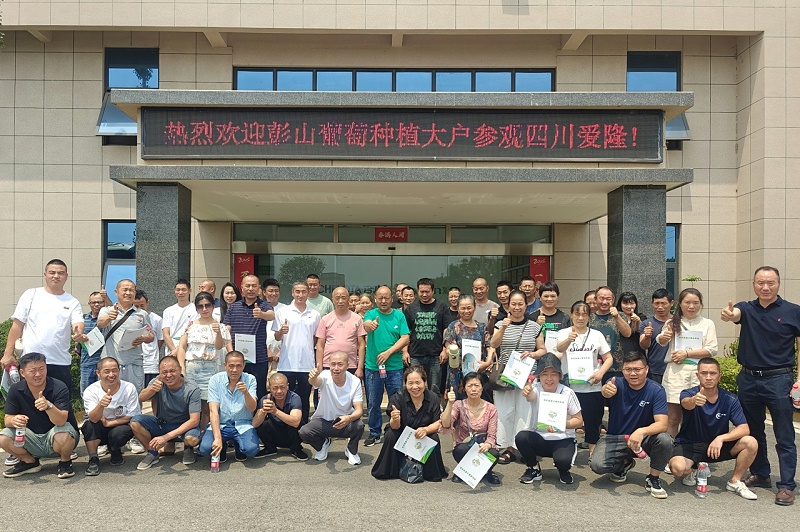 彭山葡萄种植户参观爱隆科技有机微量元素生产基地 彭山葡萄种植户参观爱隆科技有机微量元素生产基地 彭山葡萄种植户参观爱隆科技有机微量元素生产基地 彭山葡萄种植户参观爱隆科技有机微量元素生产基地