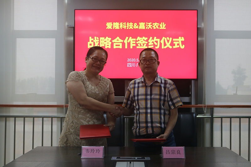 战略合作签约仪式