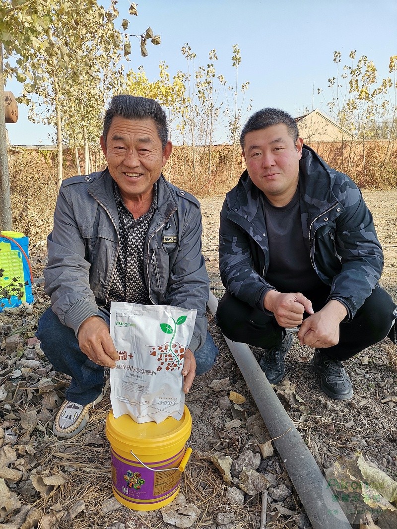 腐殖酸水溶肥