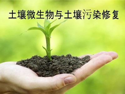 微生物怎样修复被污染土壤