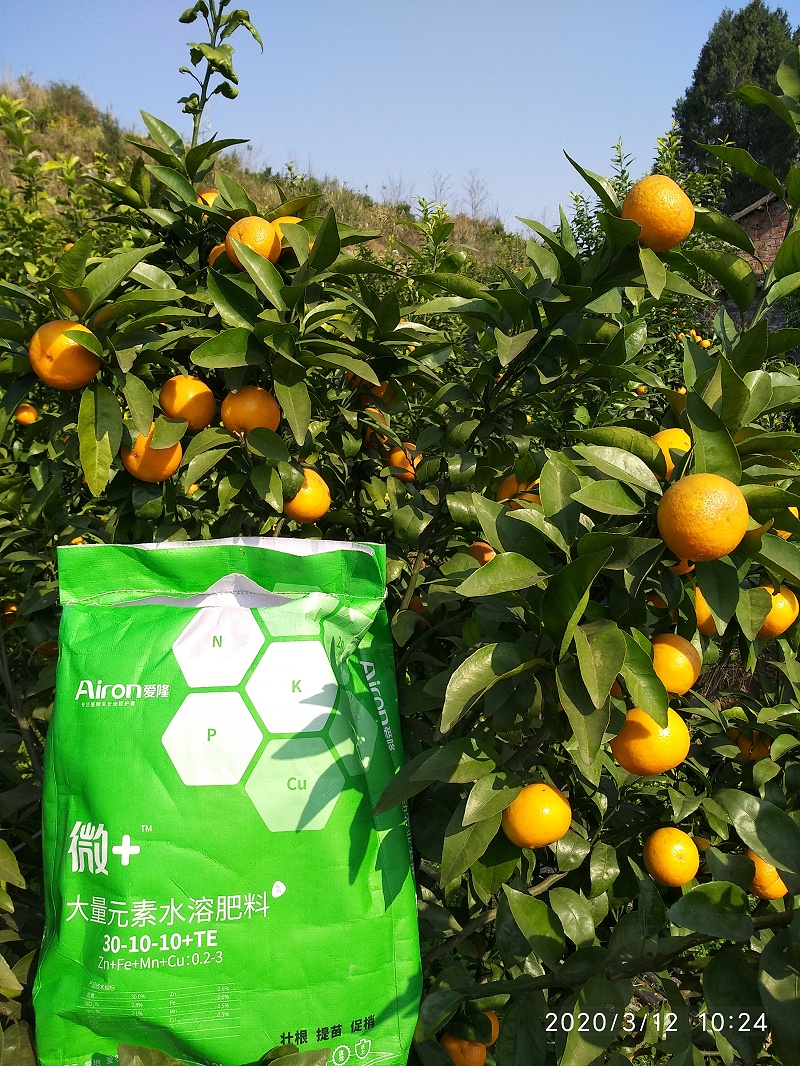 果树怎么施肥