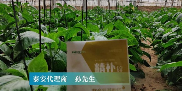 爱隆水溶肥叶面锌肥