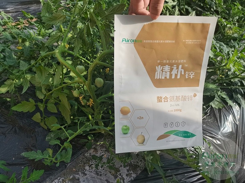 爱隆水溶肥叶面锌肥