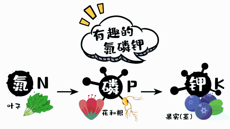 731ec450513646c398fa1c30ba6b94a6