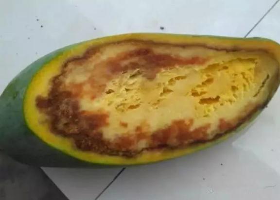 芒果黑心病怎么回事？如何防治？