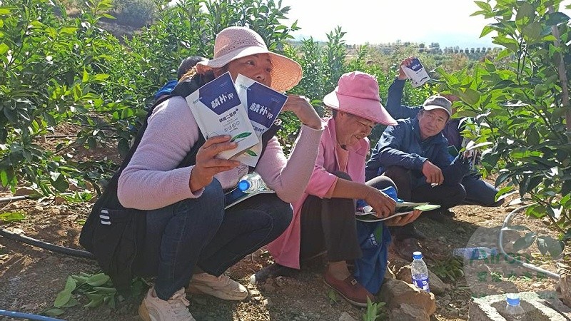 柑橘大小年怎么控制