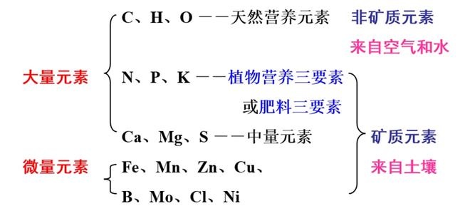植物必须营养元素图