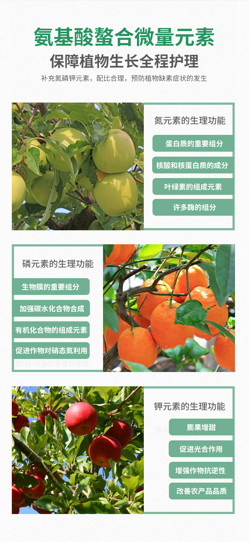 大量元素水溶肥9-9-40+TE_04