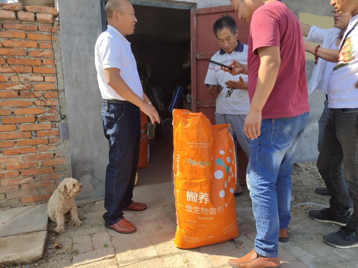 水溶肥的价格大概多少钱