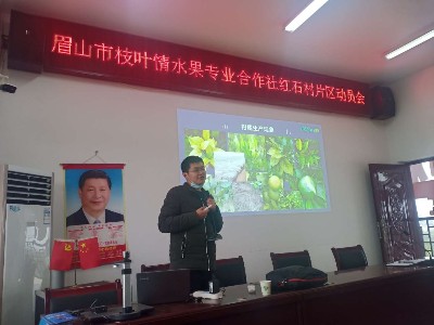 解决种植难题