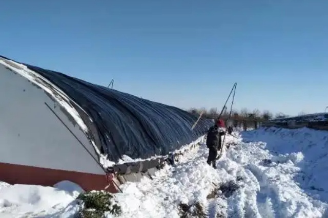 大棚温度管理