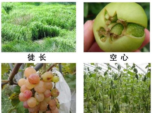 水溶性肥料标准 劣质水溶肥有那些特点？