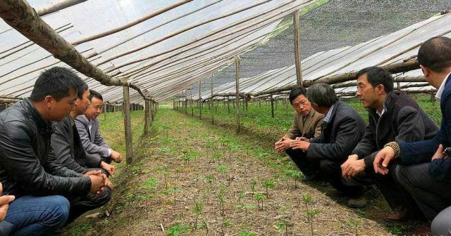 土壤改良与处理