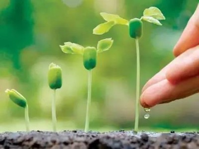 黄腐酸、氨基酸、腐植酸的区别