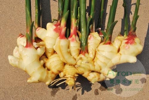 平衡肥