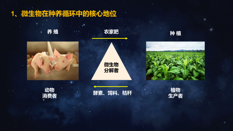 爱隆唐老师在第八届中国有机肥发展大会上专题报告内容