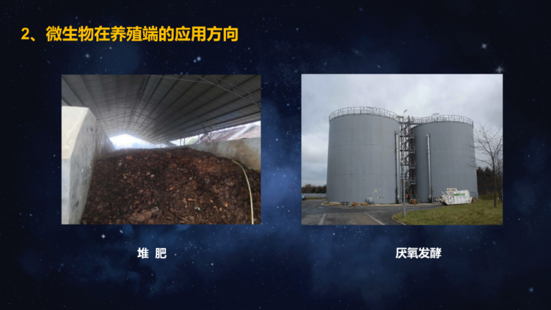 爱隆唐老师在第八届中国有机肥发展大会上专题报告内容