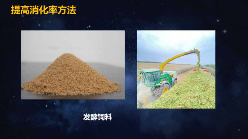 爱隆唐老师在第八届中国有机肥发展大会上专题报告内容