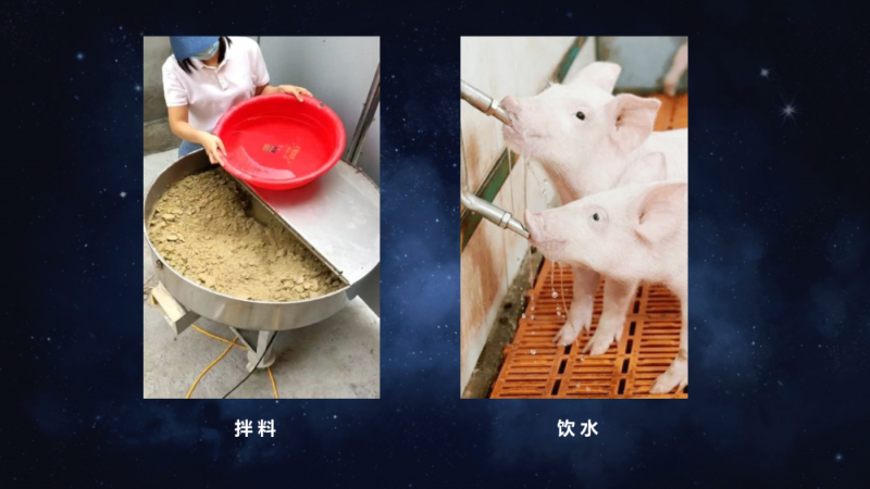 爱隆唐老师在第八届中国有机肥发展大会上专题报告内容