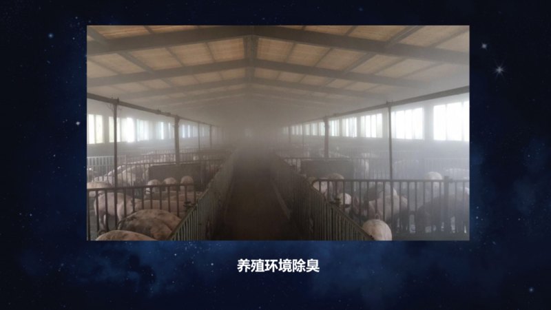 爱隆唐老师在第八届中国有机肥发展大会上专题报告内容