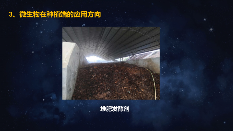 爱隆唐老师在第八届中国有机肥发展大会上专题报告内容