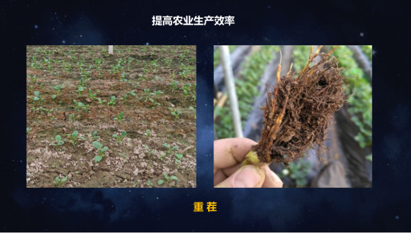 爱隆唐老师在第八届中国有机肥发展大会上专题报告内容